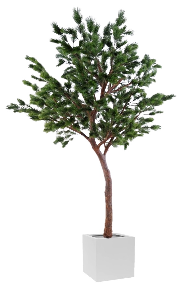 Künstlicher Taiga Pin Tree 270 Nadelbaum in modernem weißen Topf, ideal für dekorative Akzente.