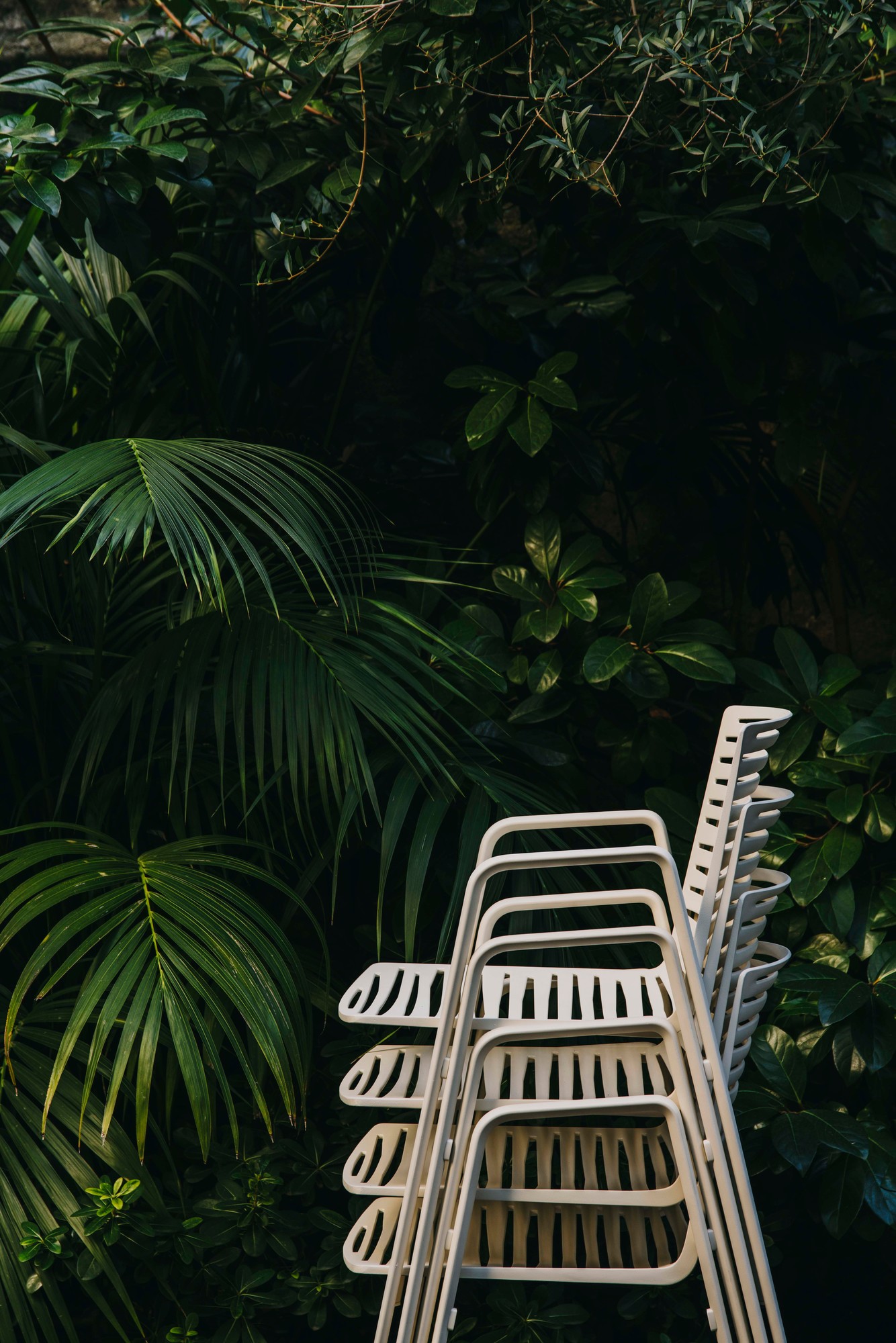 Zebra Outdoor chair Fast