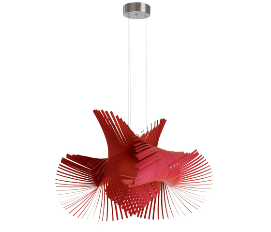 Mini Mikado Pendant light Luzifer Lamp