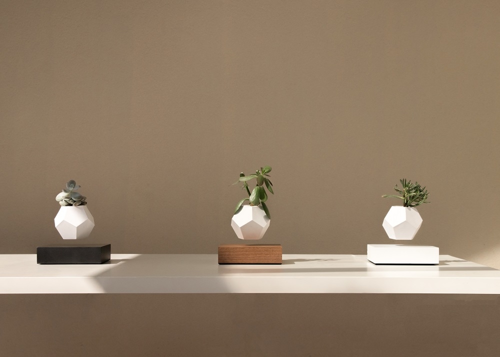Lyfe floating Vase Klein & More Maple black SINGLE PIECES
