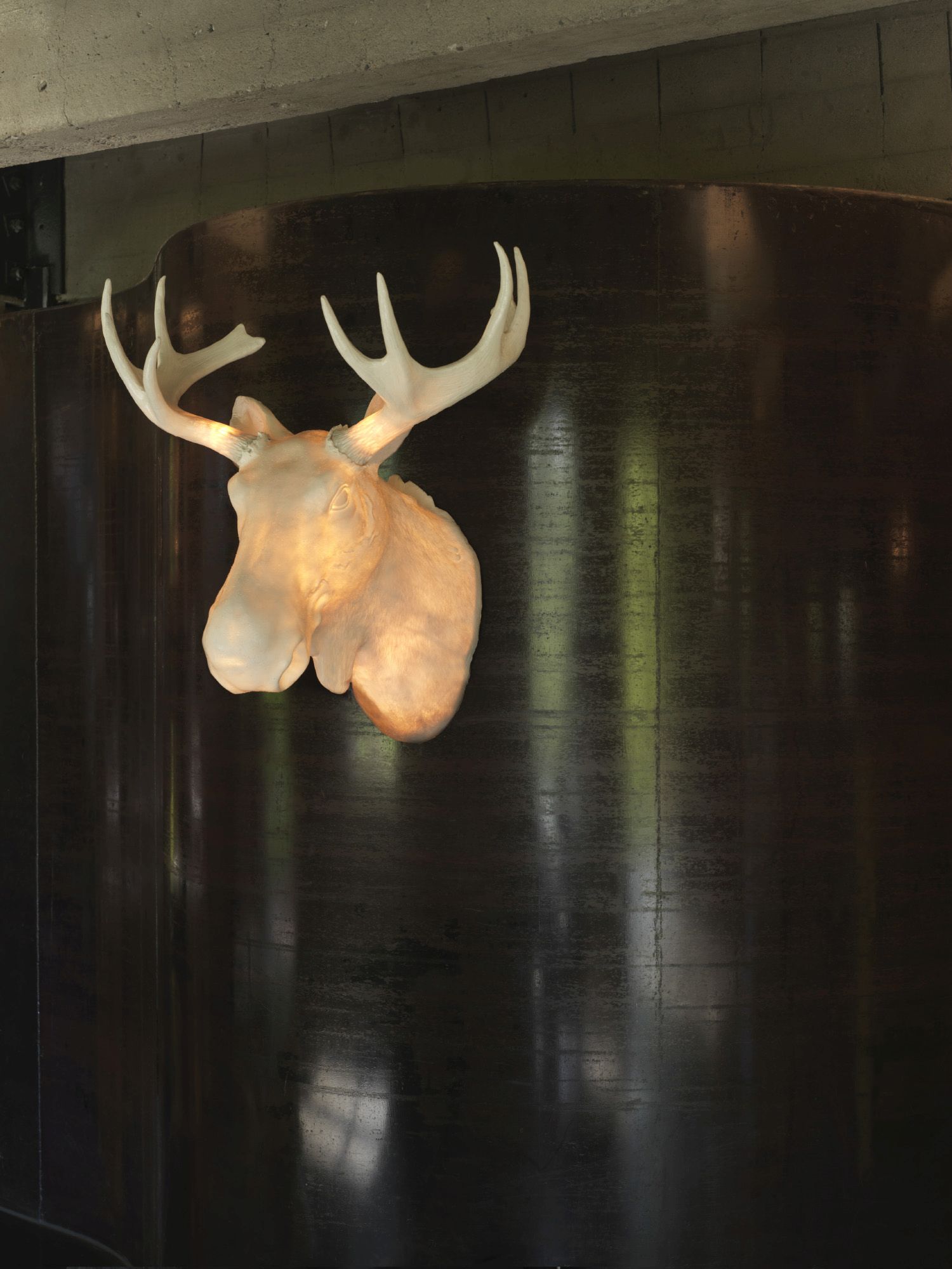 Moo wall light Northern