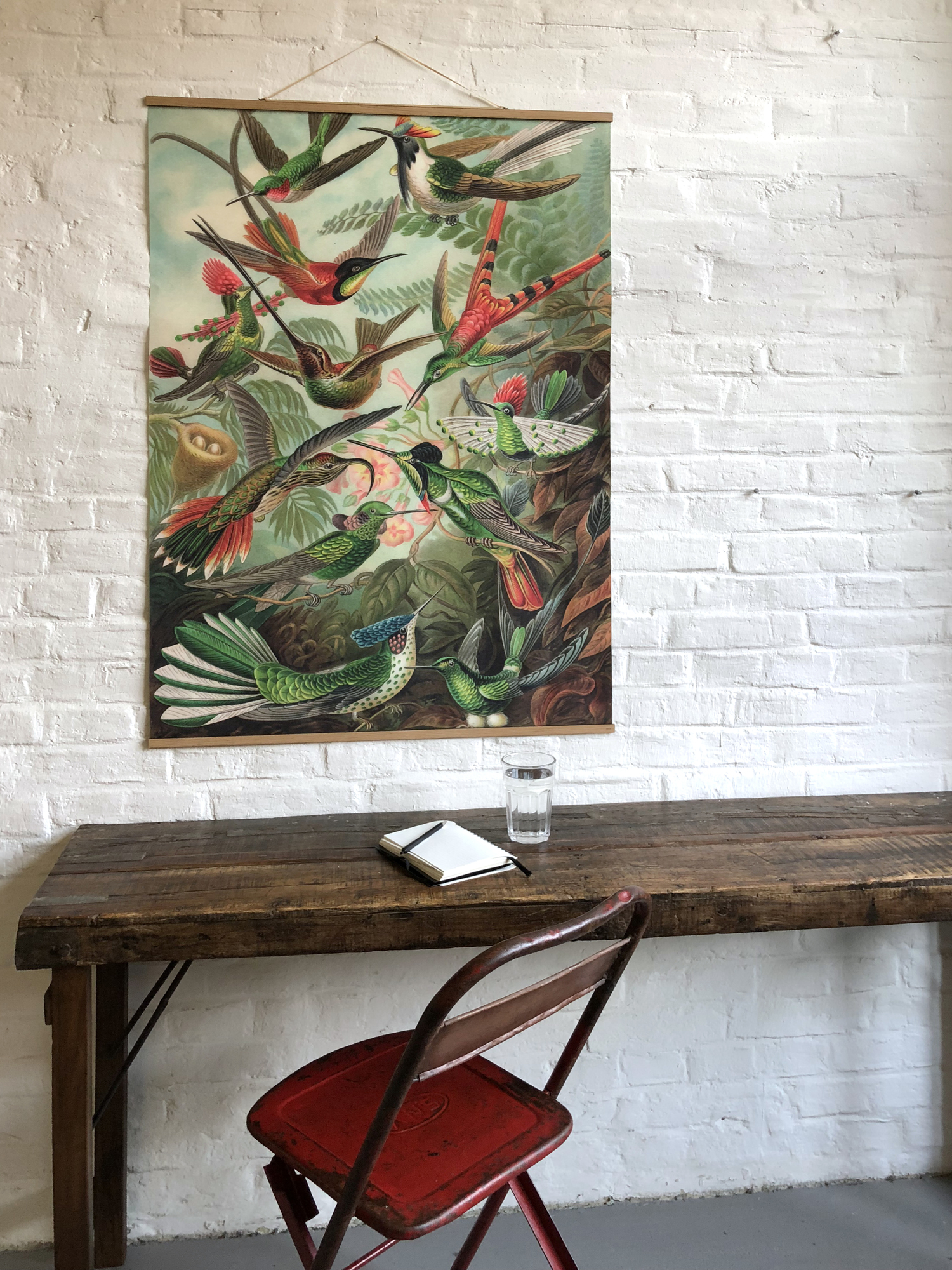 Fish Poster No 66 eicie SINGLE PIECES