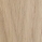 Oak matt lacquered