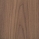 European walnut