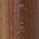 Beech stained Canaletto walnut