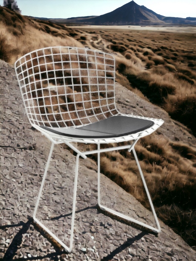 Bertoia chair OUTDOOR Knoll International Quick-Ship