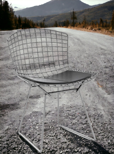 Bertoia chair OUTDOOR Knoll International Quick-Ship