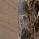 Walnut lacquered / Emparador marble