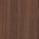 American Walnut