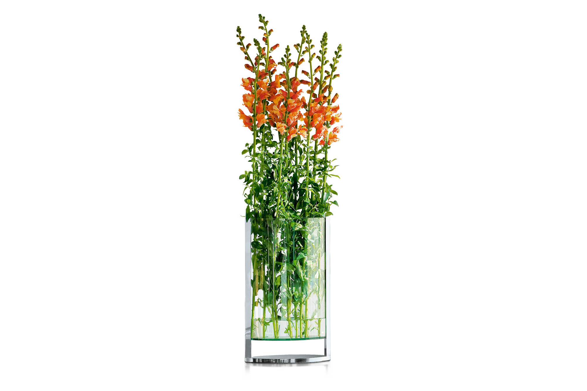Decade Vase S Philippi