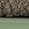 Green-grey
