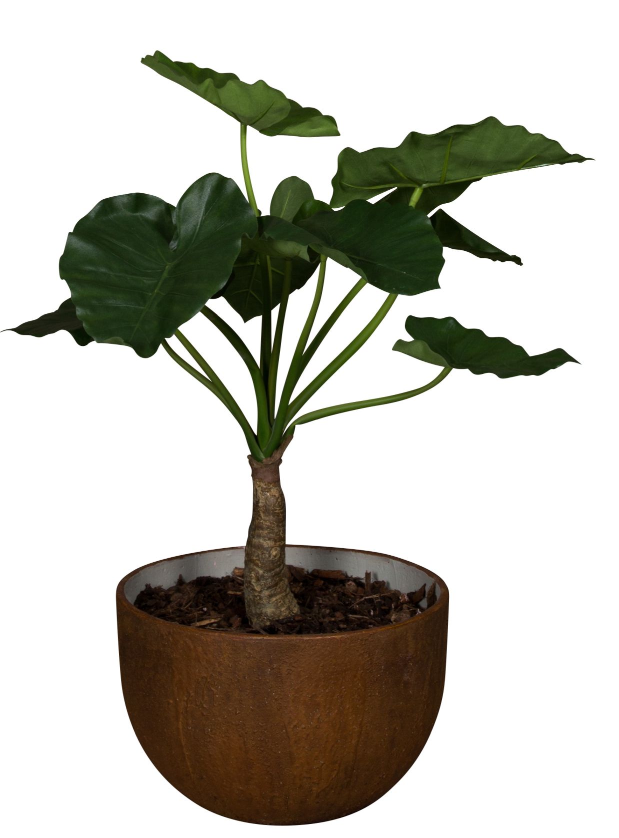 Medewi Alocasia Kunstpflanze im braunen Topf. Dekorative Zimmerpflanze mit großen, grünen Blättern.