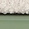Green-white
