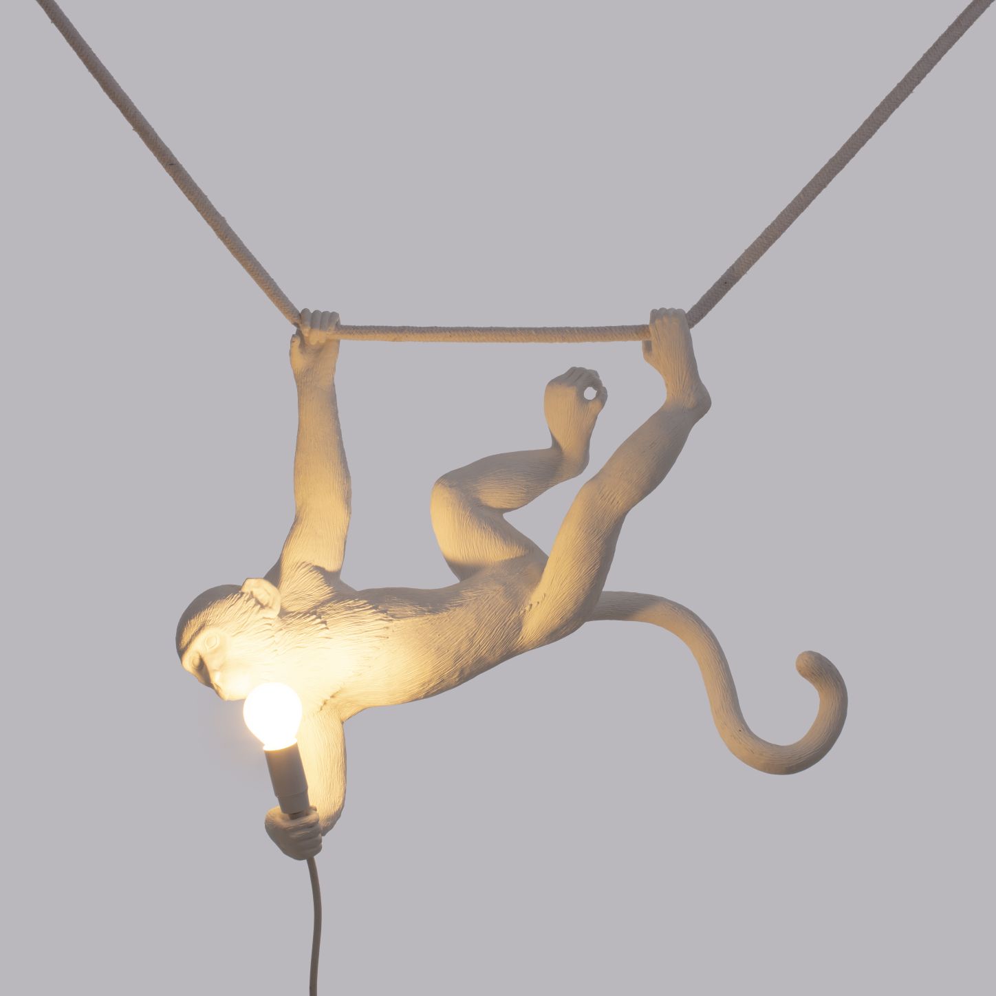 Monkey Lamp Swing pendant light Seletti