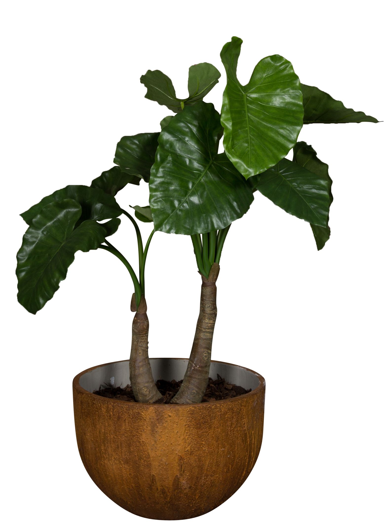 Medewi Alocasia Kunstpflanze im braunen Topf mit großen, grünen Blättern für die Dekoration.