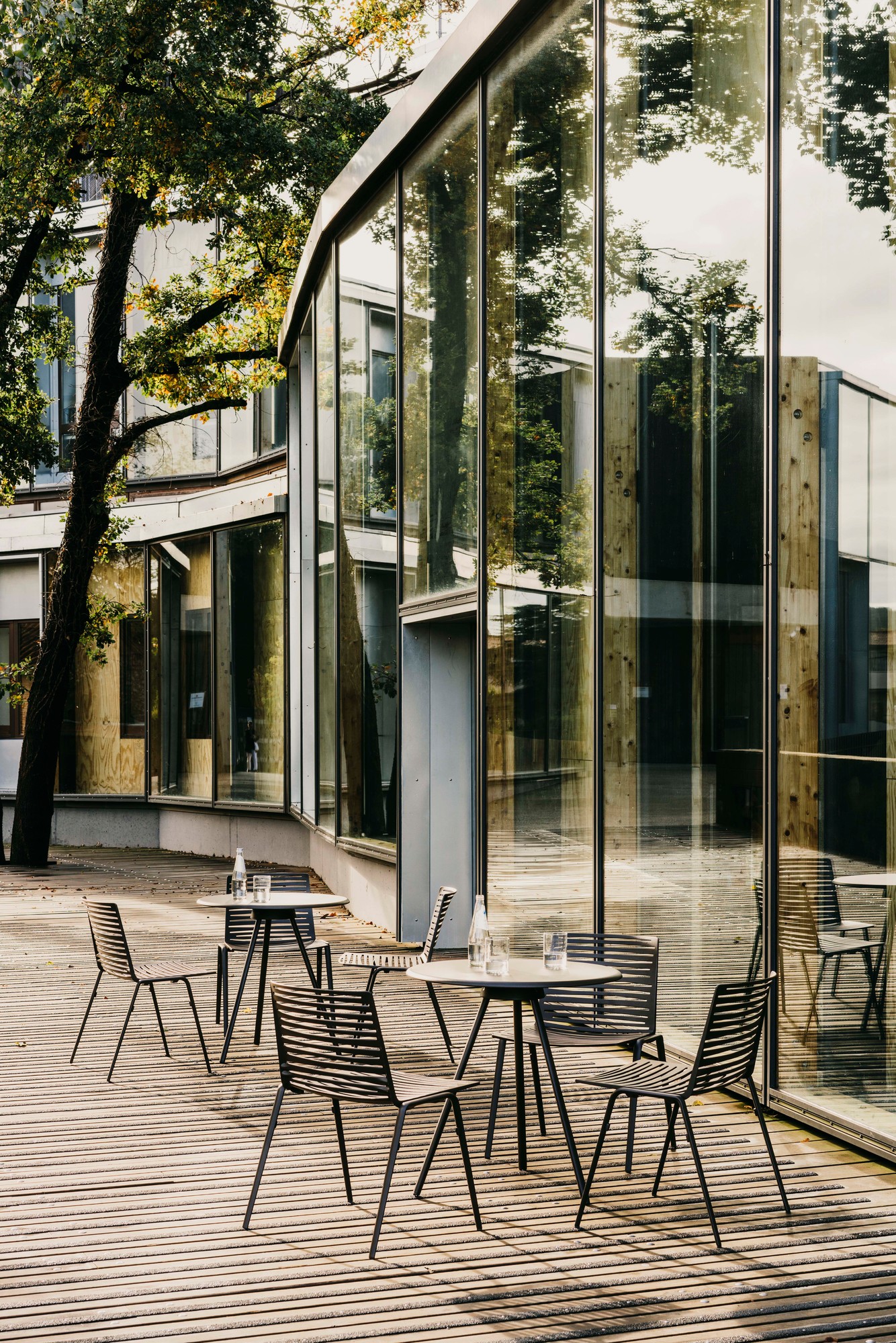 Zebra Outdoor chair Fast