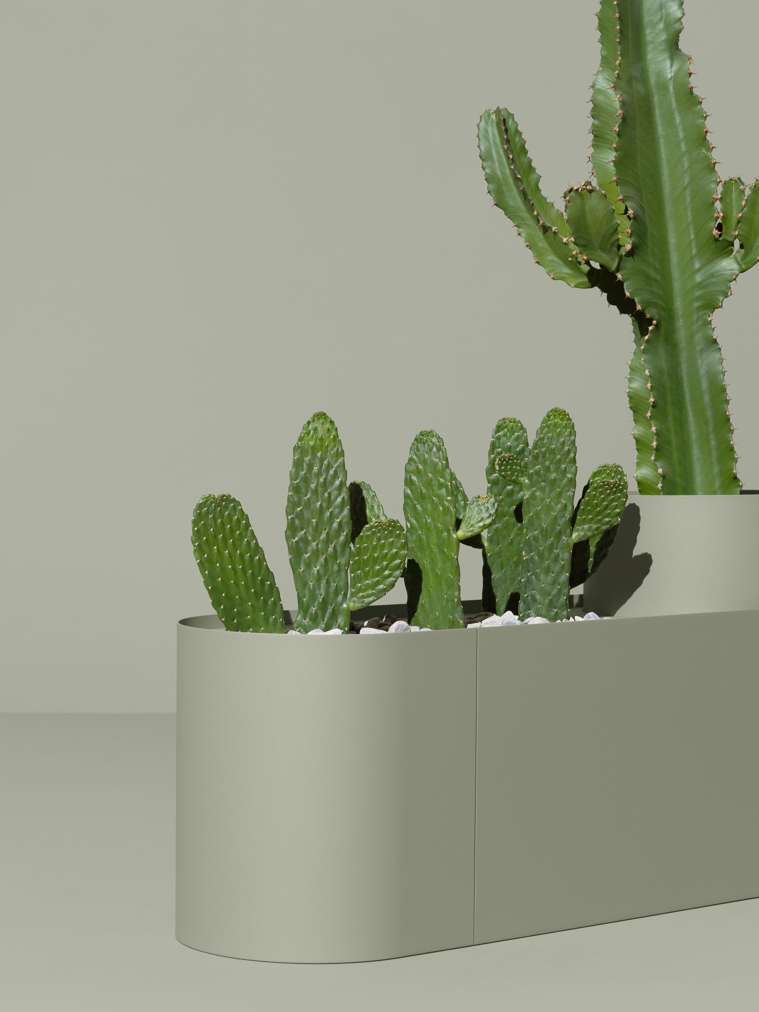 Plant Here plant box / flower pot Mizetto QUICK SHIP