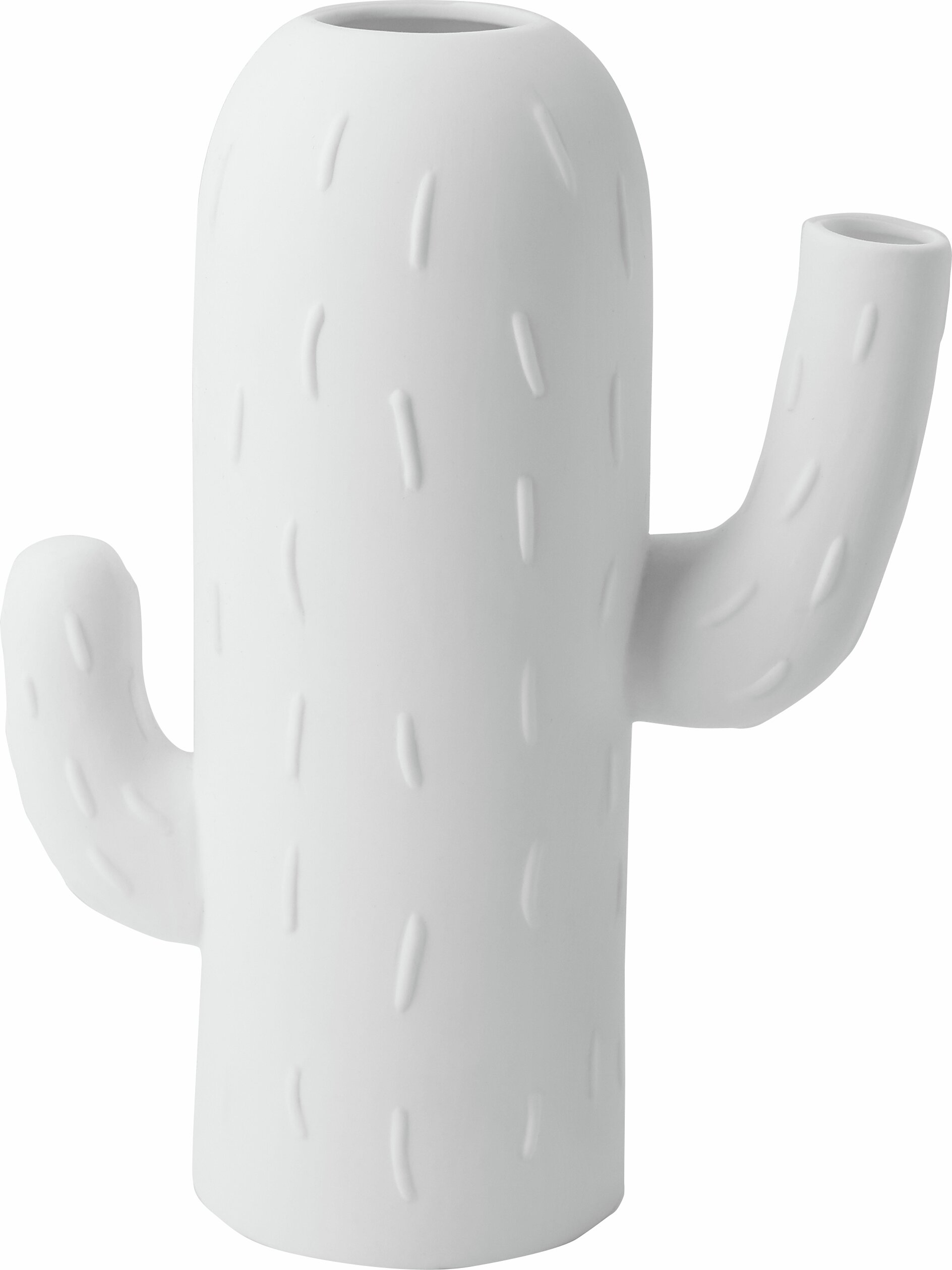 Cactus vase columnar cactus wheels
