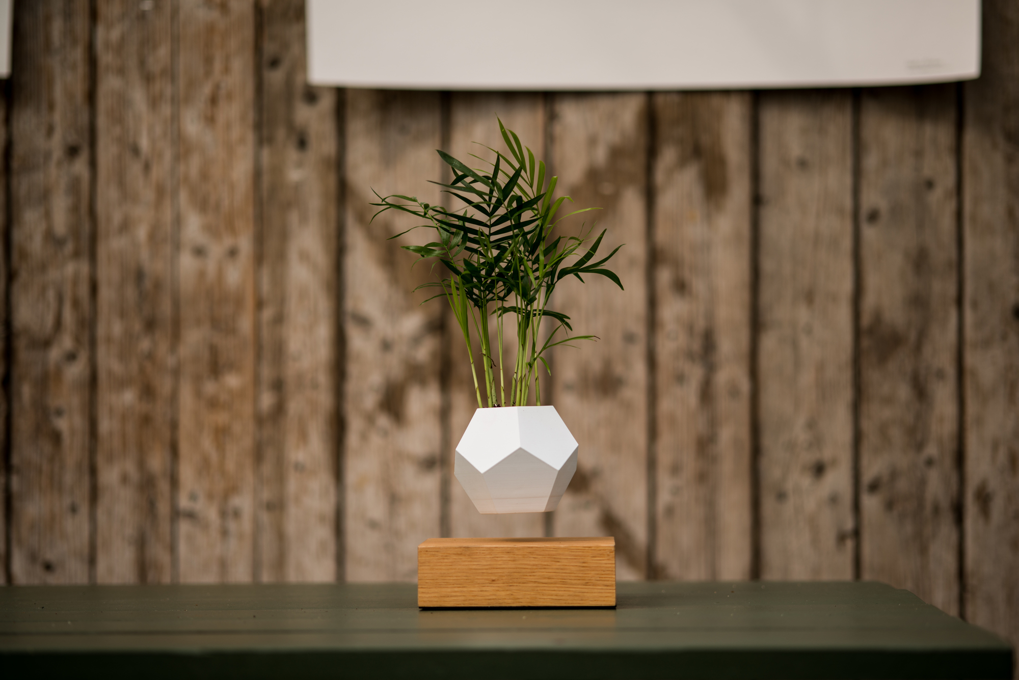 Lyfe Floating Vase FOOT AHRON BLACK / POT WHITE Klein & More SINGLE PIECES