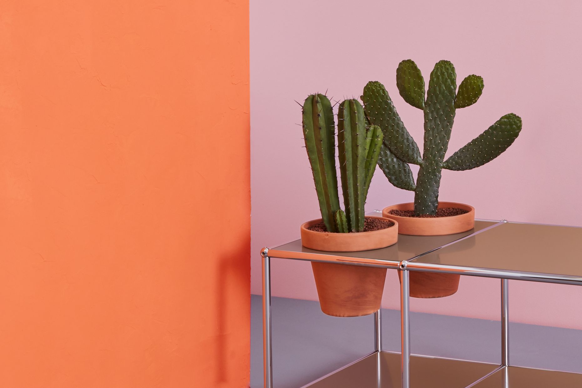 Plant worlds Side table USM Haller