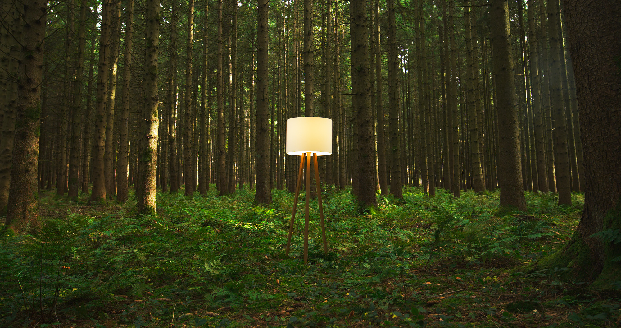 Luca floor lamp natural oak / white Maigrau