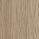 Oak oiled