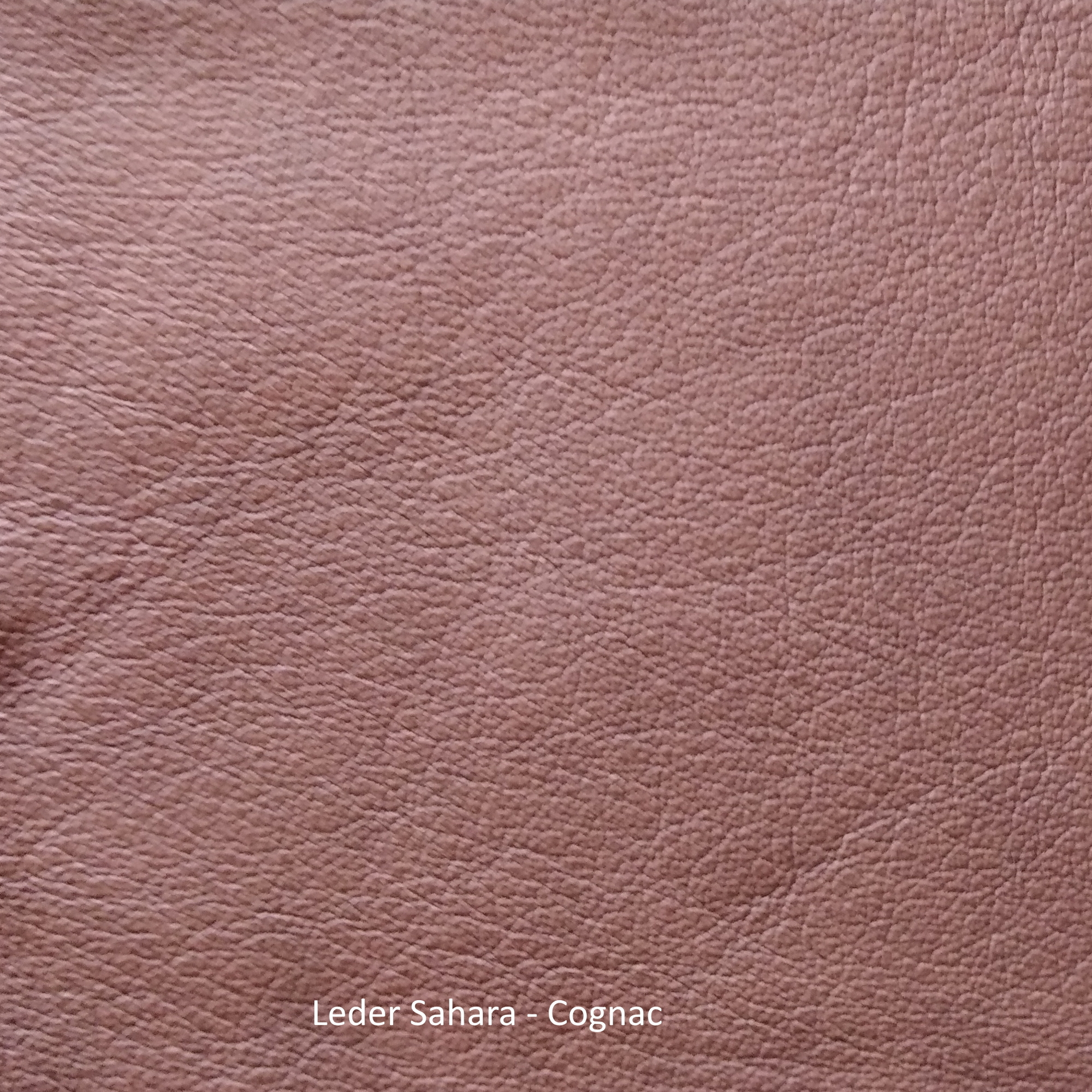Leather samples Sahara Freifrau Manufaktur