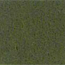 dark olive