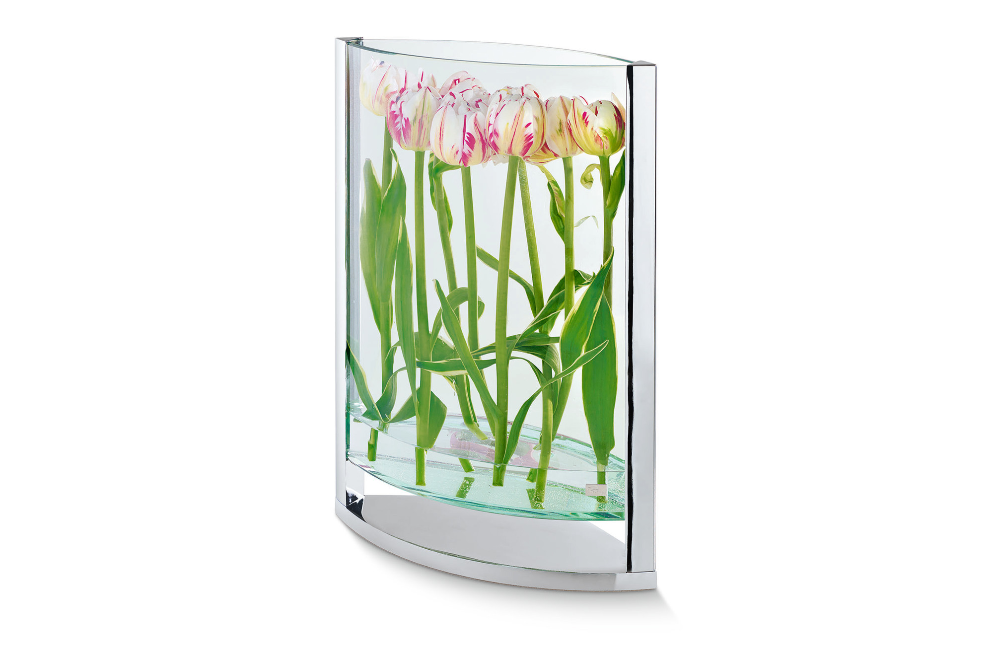 Decade Vase S Philippi