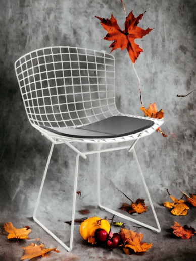 Bertoia chair OUTDOOR Knoll International Quick-Ship