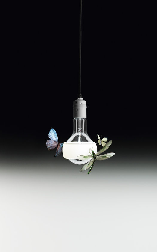 Johnny B. Butterfly Suspension Ingo Maurer