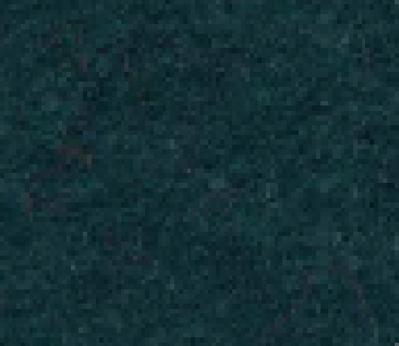 duck blue
