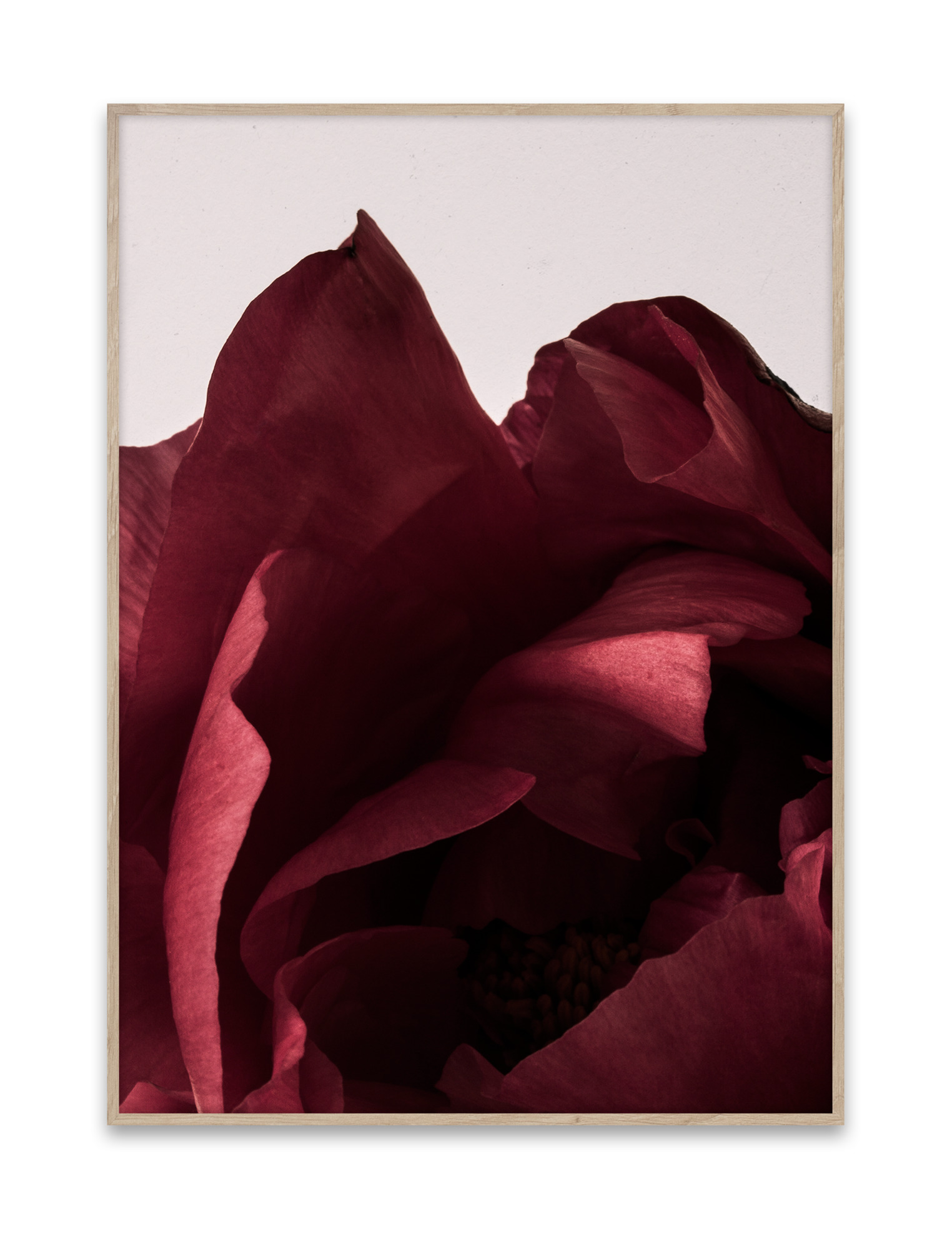 Peonia Poster Paper Collective SINGLE PIECES