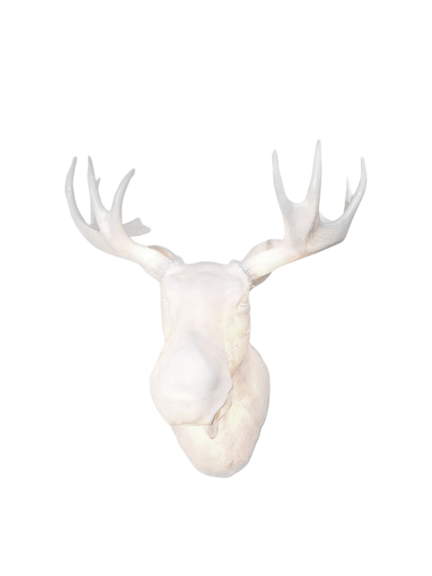 Moo wall light Northern