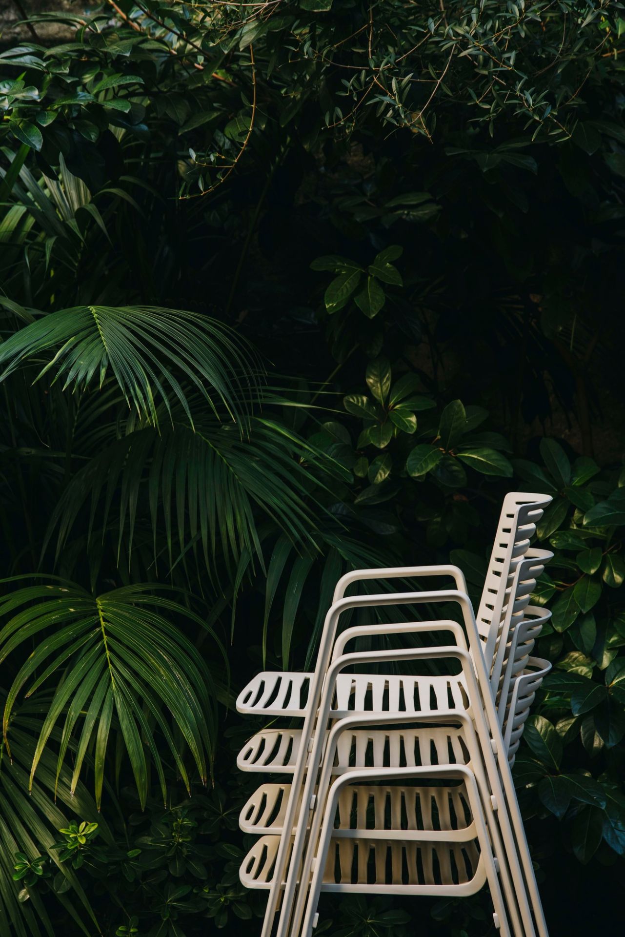 Zebra Outdoor chair Fast