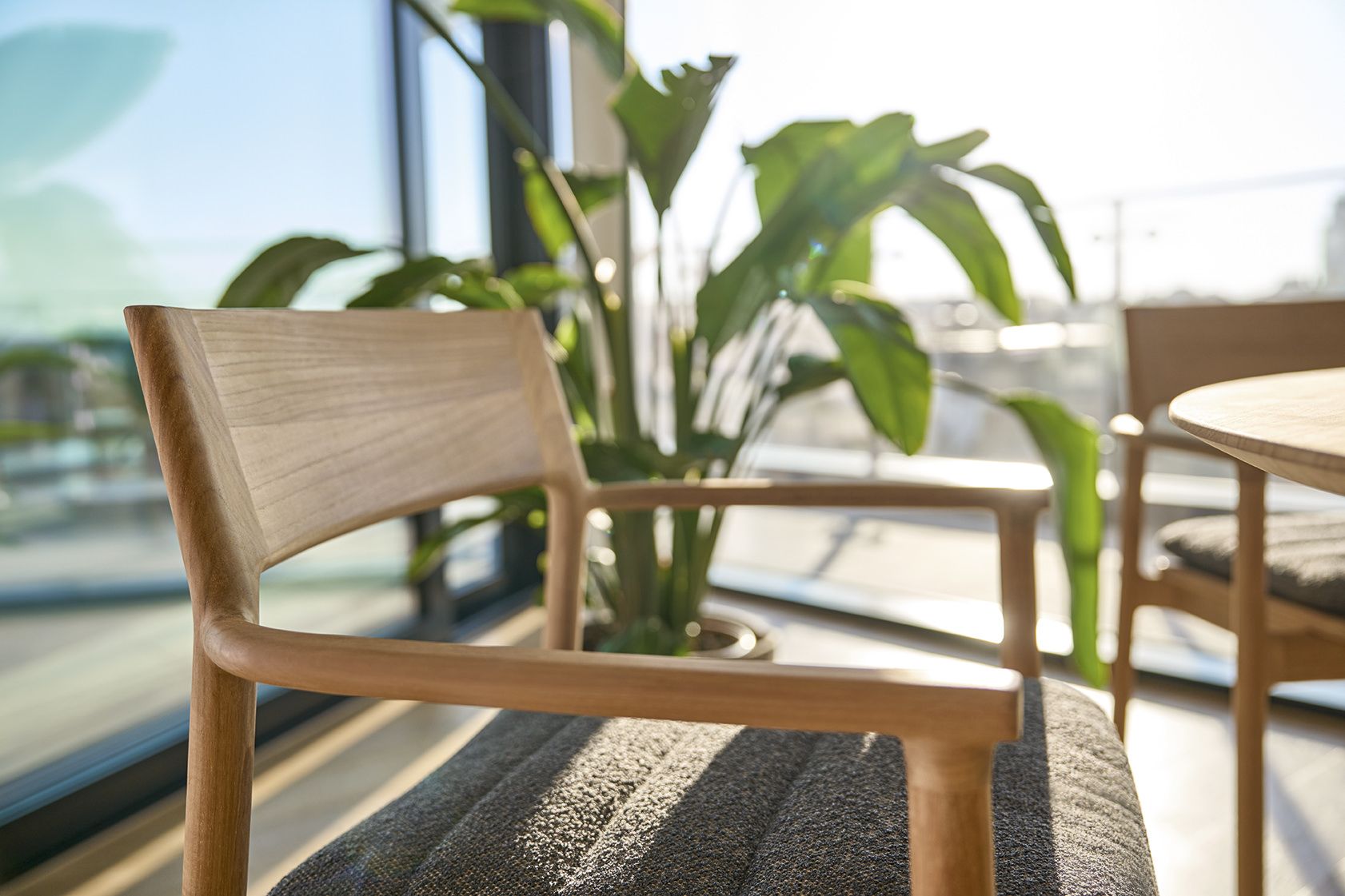 Teva Armchair Weishäupl