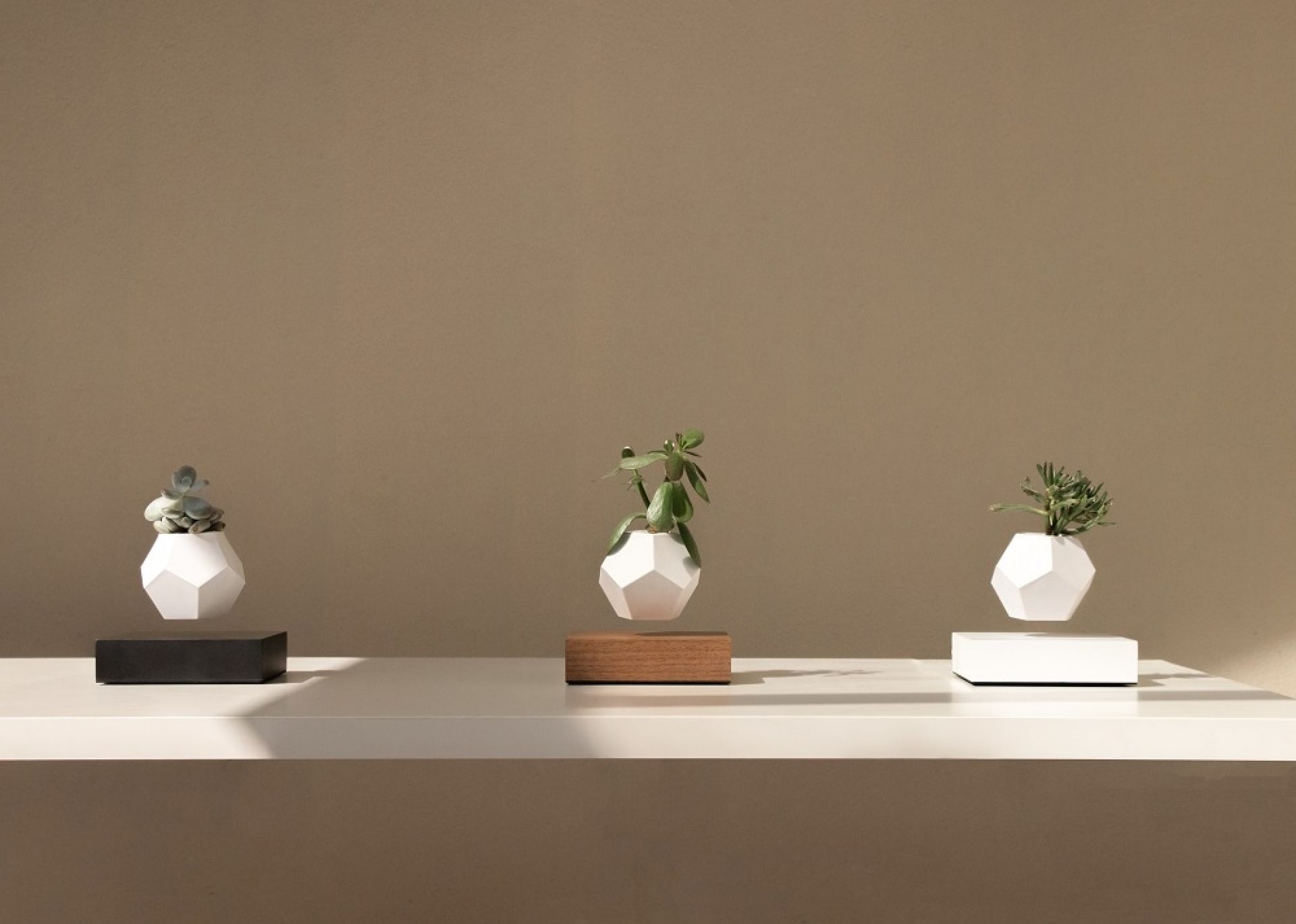 Lyfe floating Vase Klein & More Maple black SINGLE PIECES