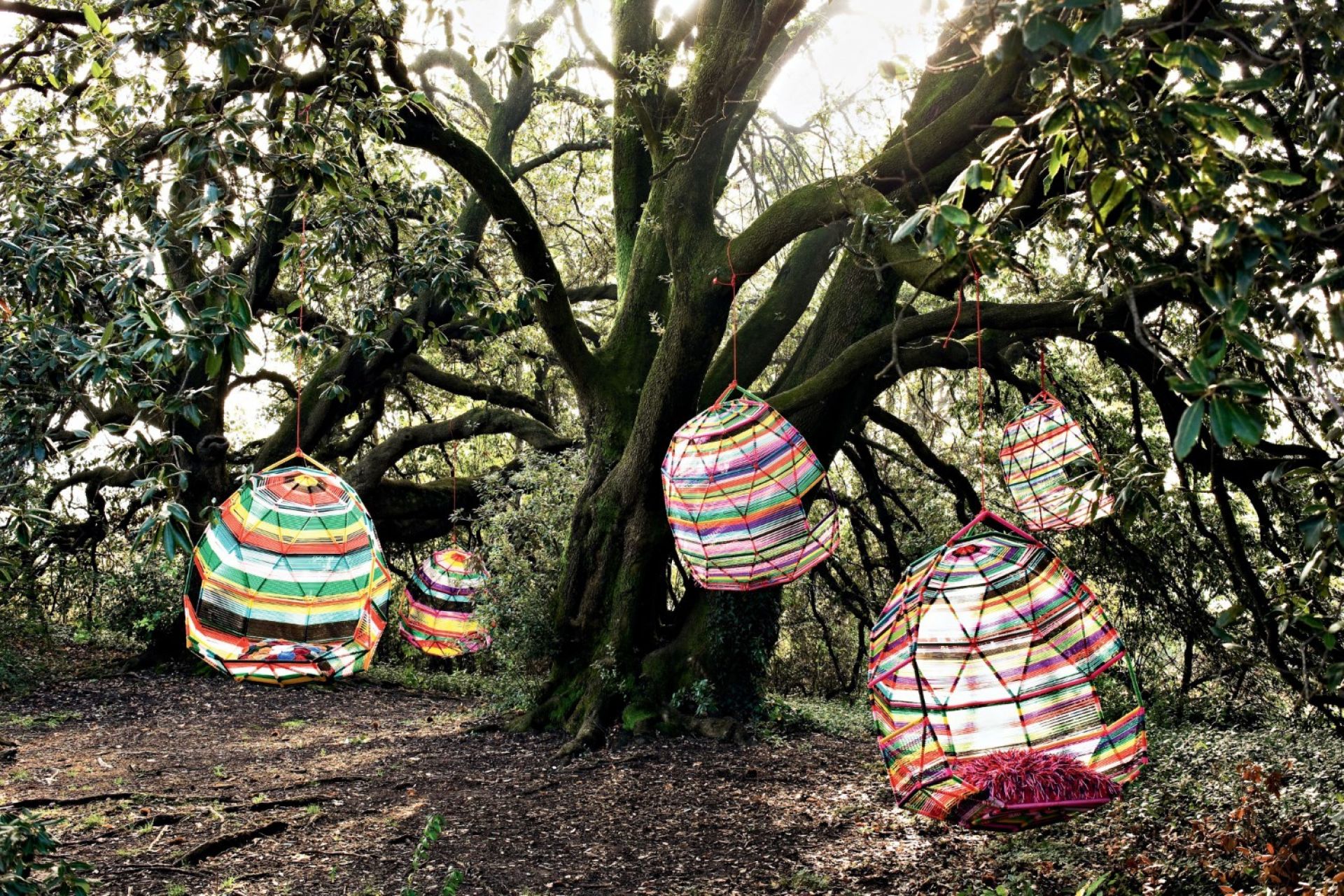 Tropicalia Cocoon swinging nest Moroso