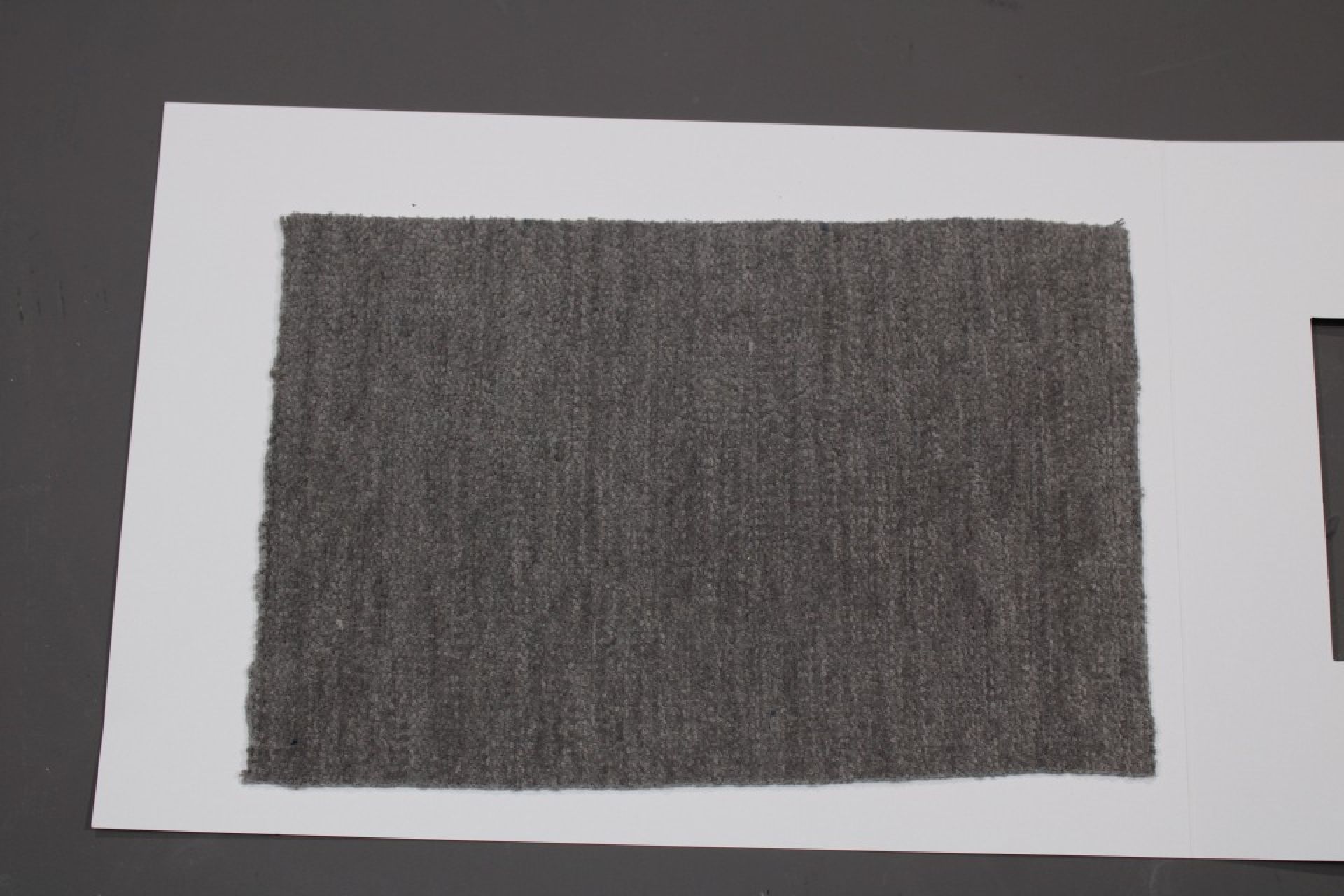 Fabric Sample Card Group 81 Cor