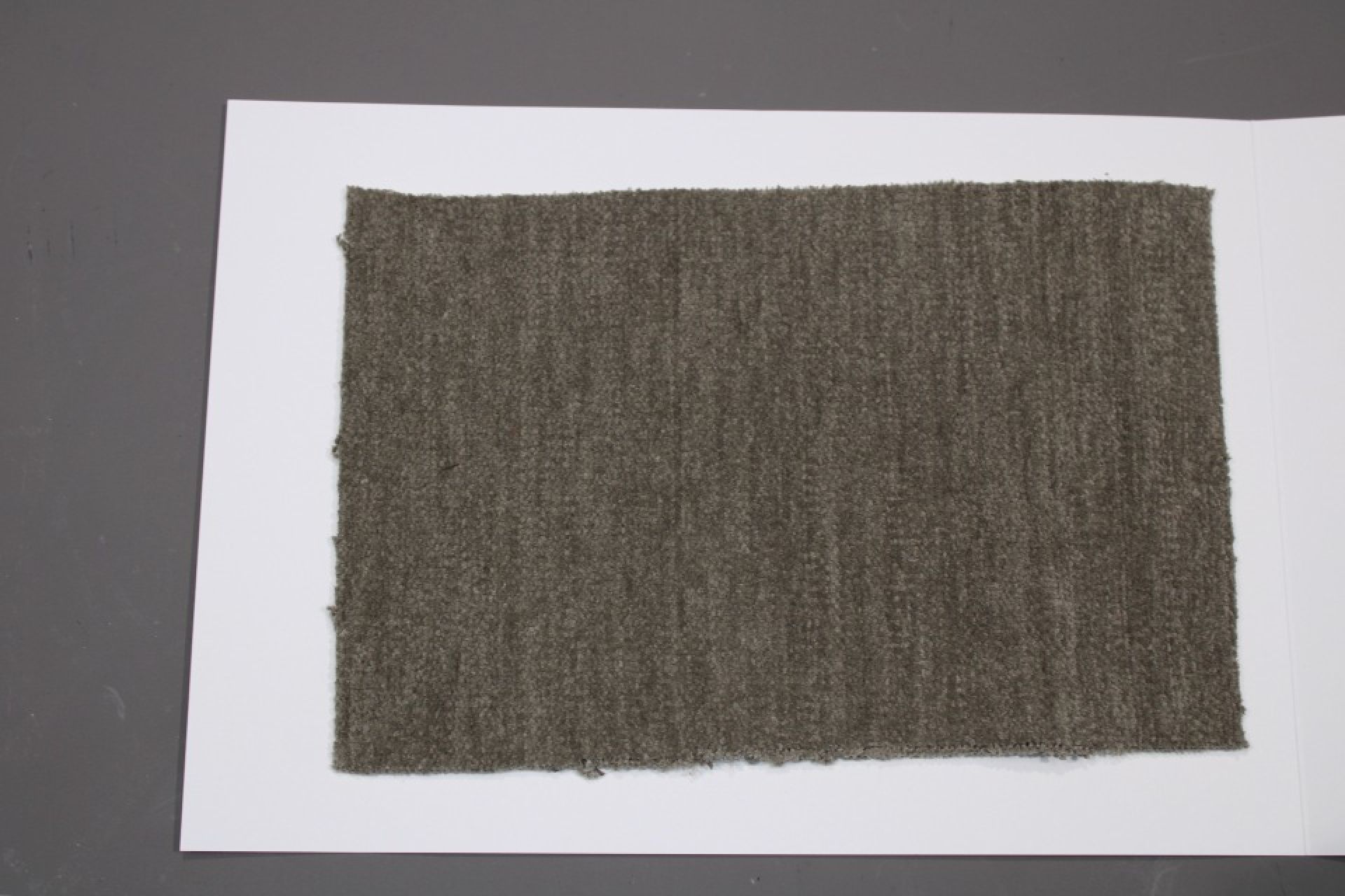 Fabric Sample Card Group 81 Cor