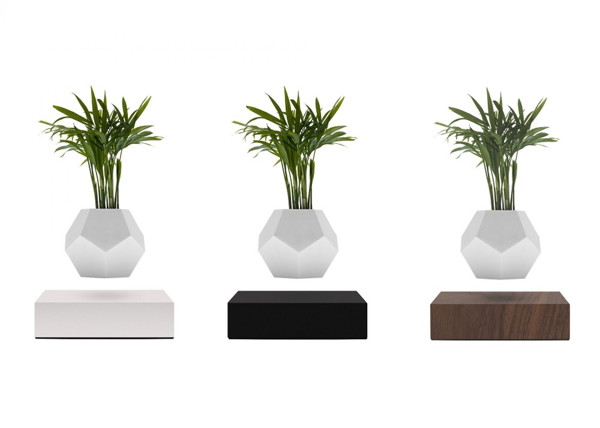 Lyfe floating Vase Klein & More Maple black SINGLE PIECES