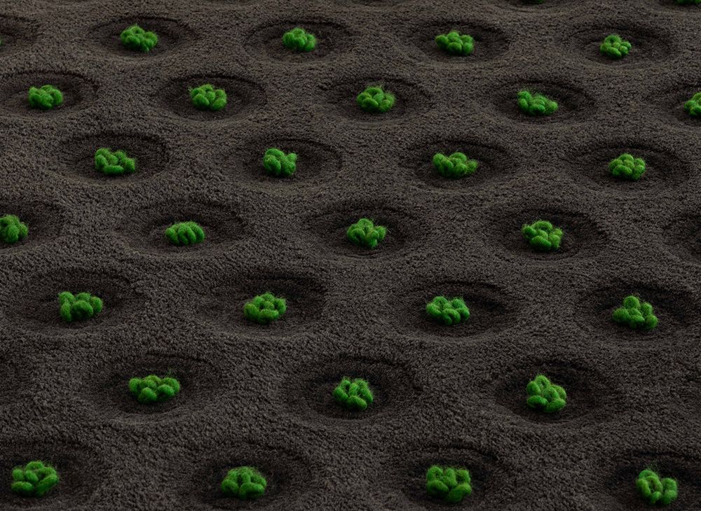 La Geria-Lanzarote Rug rectangular Gan 