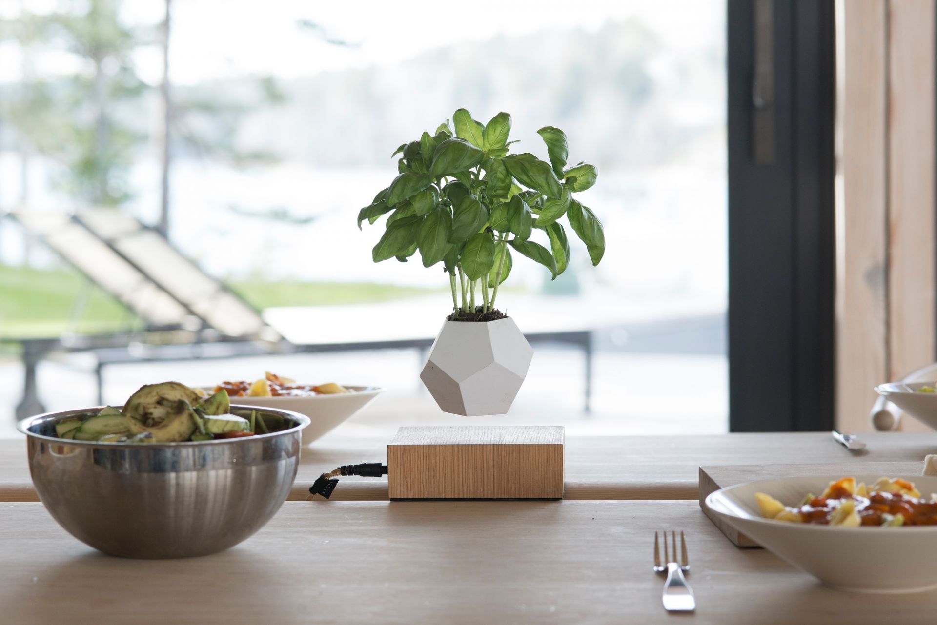 Lyfe Floating Vase FOOT AHRON BLACK / POT WHITE Klein & More SINGLE PIECES
