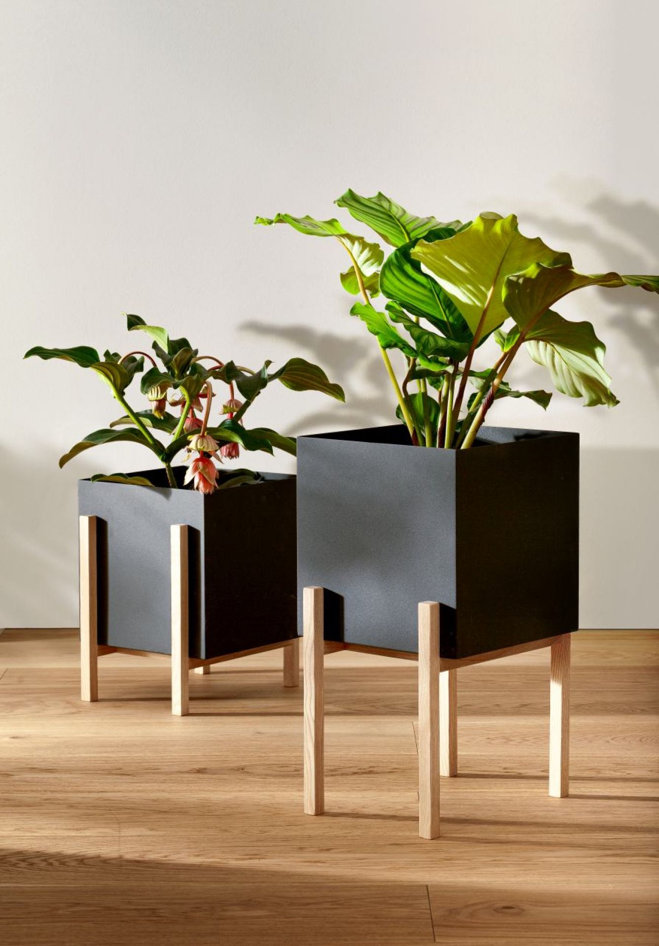 Botanic Flower Stand Middle Design House Stockholm