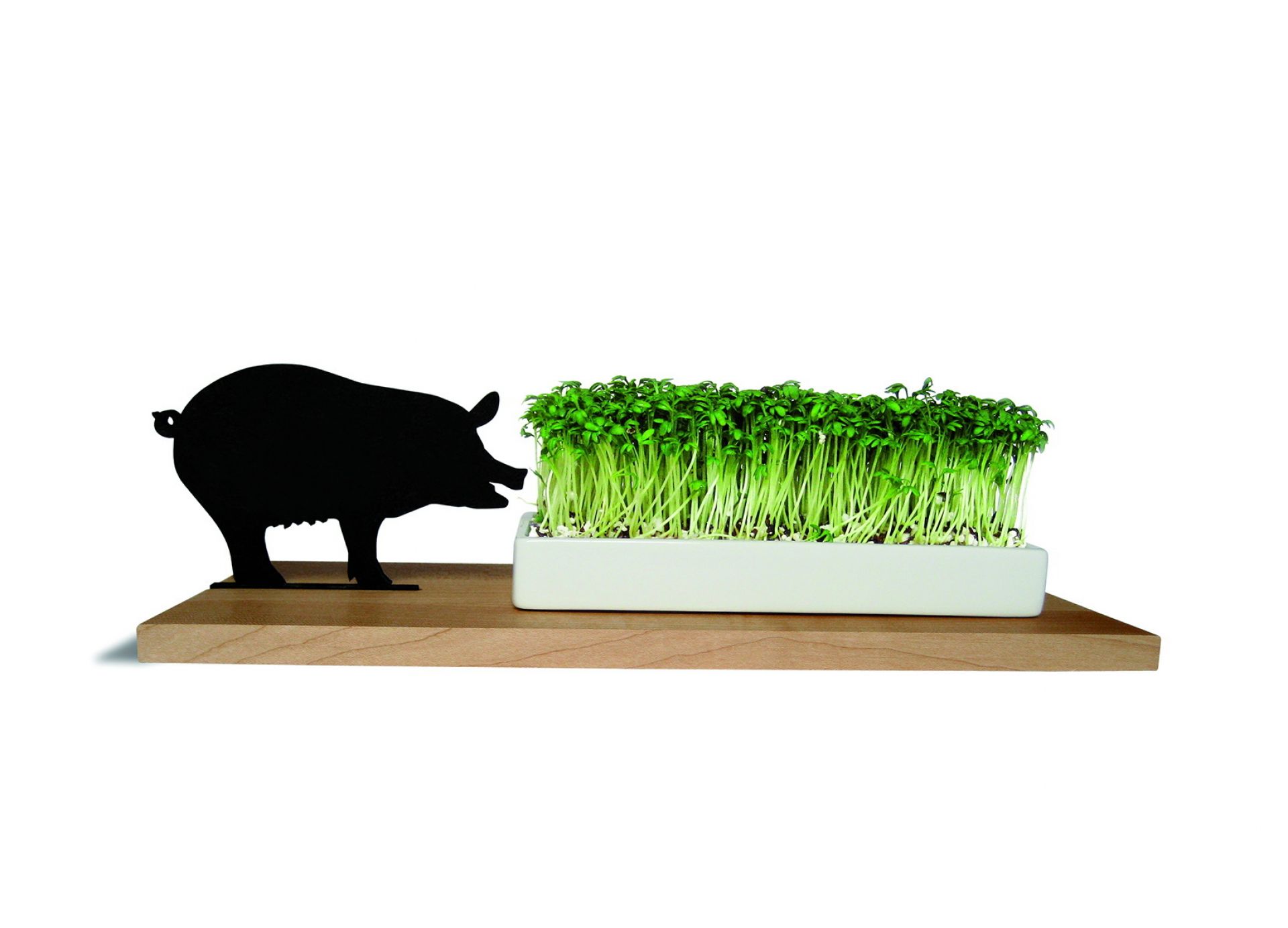 Smart 'n' green Cress dish Pork Side by Side SINGLE PIECES