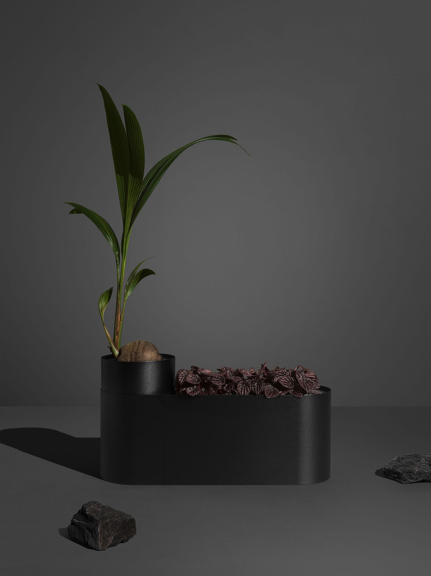 Plant Here plant box / flower pot Mizetto QUICK SHIP