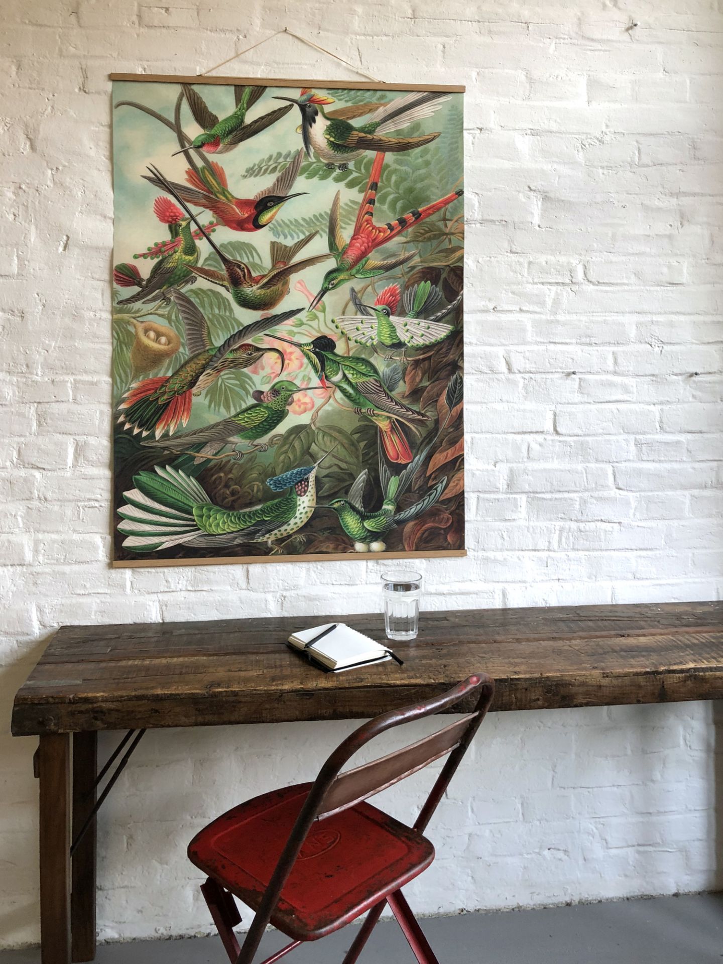 John James Audubon Poster No 69 eicie SINGLE PIECES