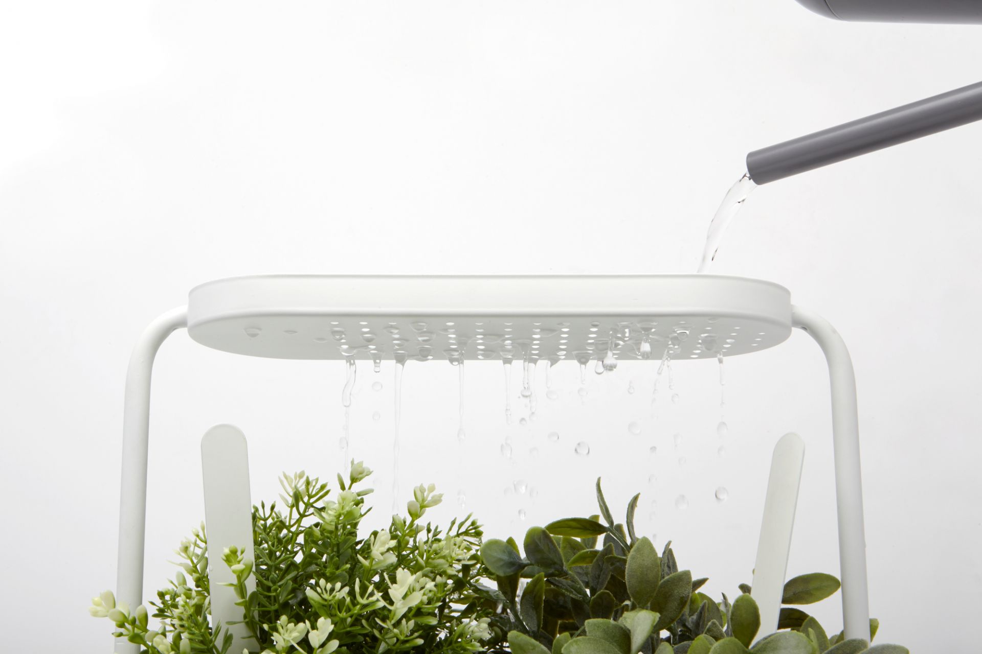 Giardino Herbal pot Umbra SINGLE PIECES
