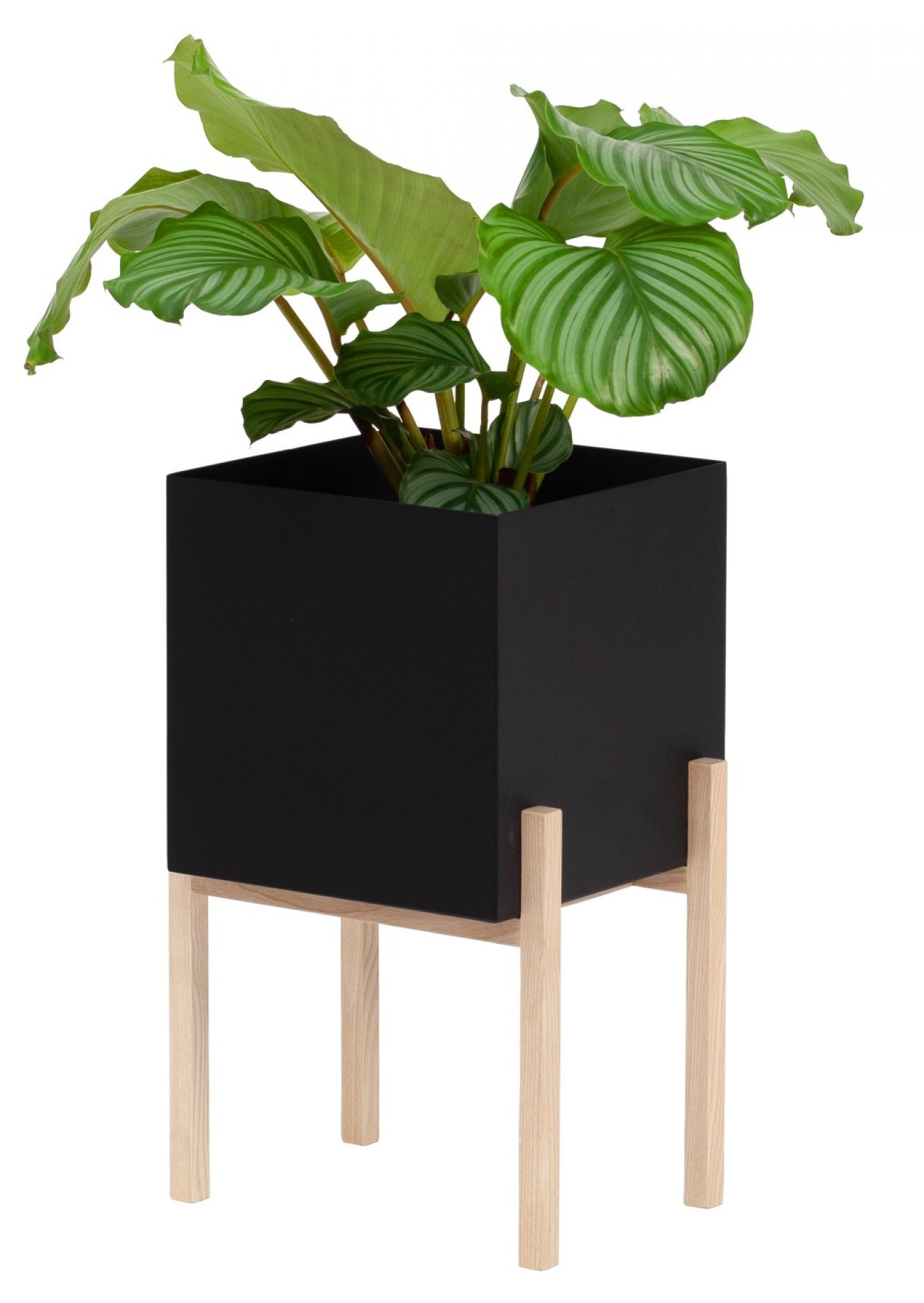 Botanic Flower Stand Middle Design House Stockholm