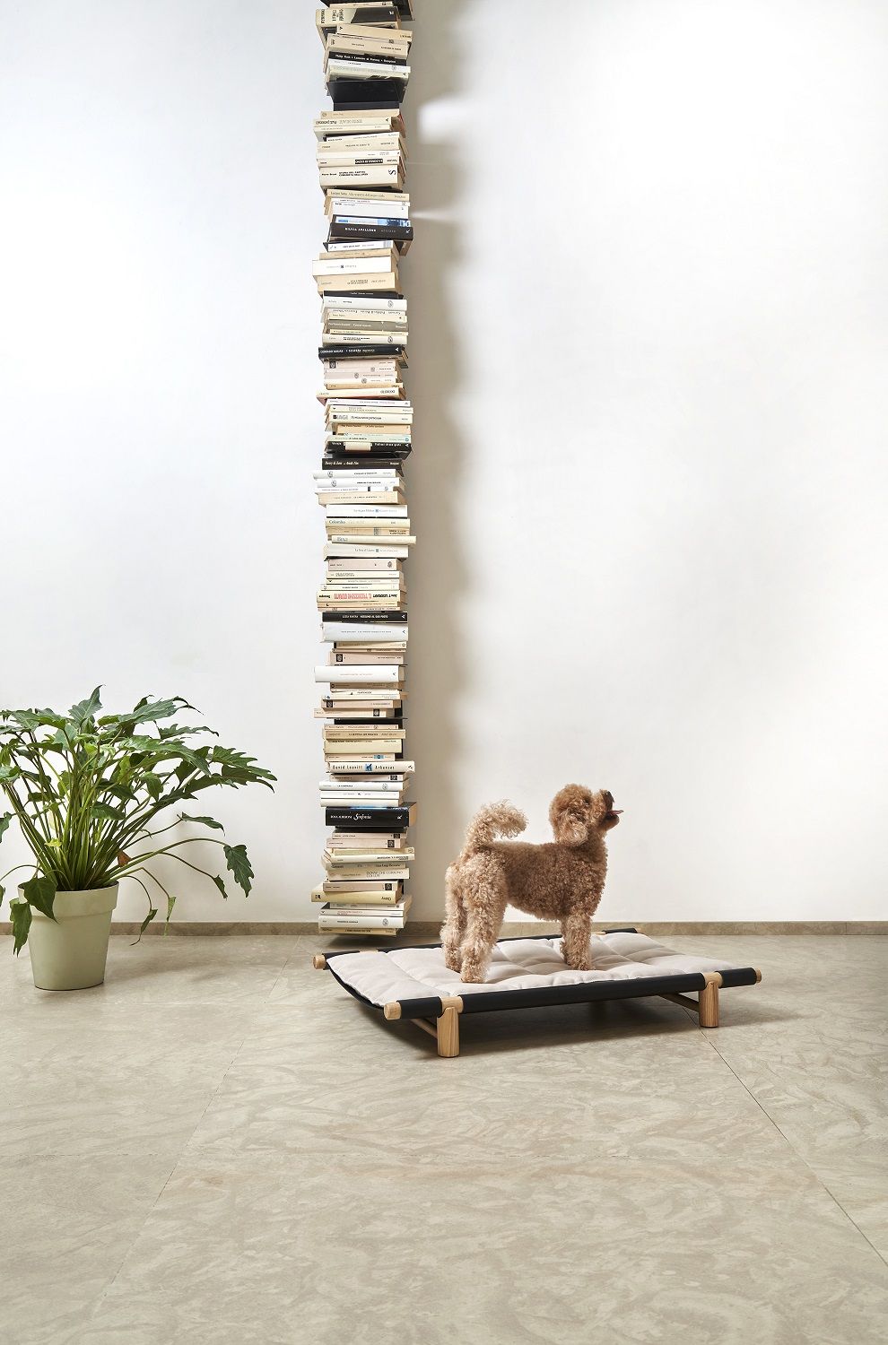 Berberé Transportable dog bed Opinion Ciatti